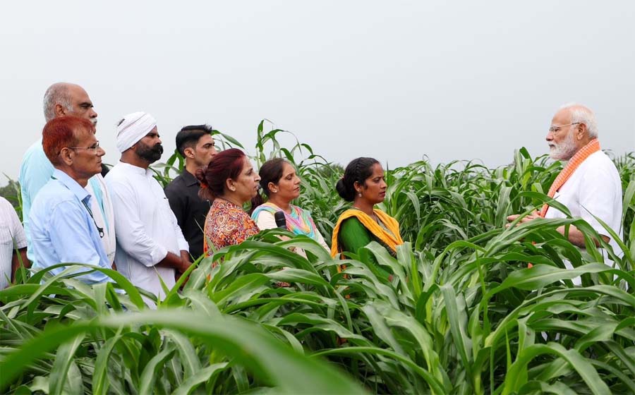 नैसर्गिक शेतीकडे वेगाने वाटचाल देशाच्या दृष्टीने महत्वाची