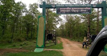 हिवाळा सुरू होताच कोका जंगल सफारीला पहिली पसंती