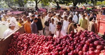 नव्या काद्यांची आवक वाढल्याने पंधरा दिवसांत शेतकऱ्यांना ६० कोटी रुपयांचा फटका