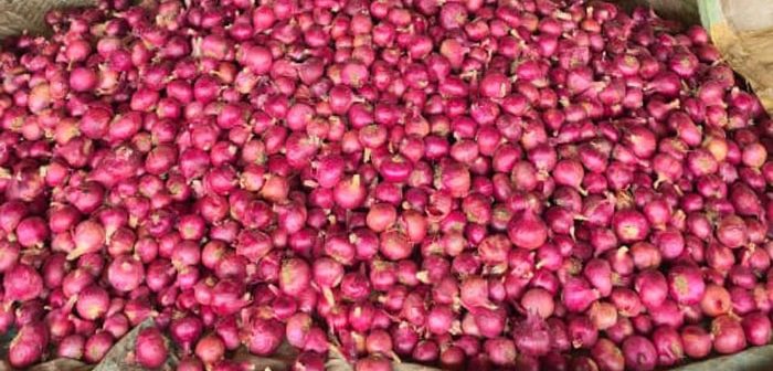 नाफेडने जाहीर केले नवे कांदा खरेदी दर