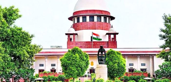 भटक्या कुत्र्यांच्या समस्येवर देशव्यापी तोडगा काढण्याची गरज – सर्वोच्च न्यायालय