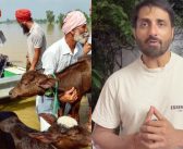 पंजाब पूरग्रस्तांसाठी अभिनेता सोनू सूद, रणदीप हुड्डासह दिलजीत दोसांझ मदतीला