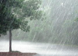 राज्यात २४ ते २७ जूनदरम्यान पावसाचा जोर वाढण्याची शक्यता