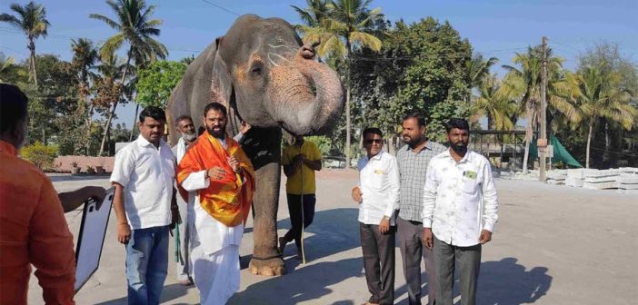 ‘माधुरी’ हत्तिणीची ३१ ऑक्टोबरला आरोग्य पडताळणी