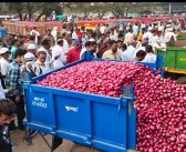 राजस्थान, गुजरातमधून कांद्याची आवक वाढली, भाव आणखी कोसळणार?