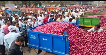 राजस्थान, गुजरातमधून कांद्याची आवक वाढली, भाव आणखी कोसळणार?