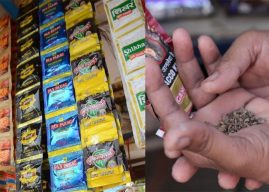 कर्नाटक सरकारचा मोठा निर्णय: गुटखा आणि पान मसाल्याच्या विक्रीवर एक वर्षासाठी बंदी