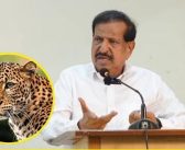 बिबट्याच्या प्रश्नासंदर्भात लोकप्रतिनिधी व अधिकाऱ्यांची संयुक्त बैठक घेणार