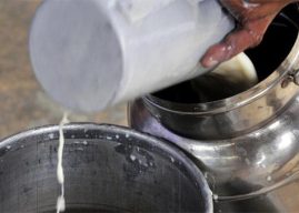 अंधेरीतील भेसळयुक्त दूध प्रकरणातील आरोपींवर मकोका अंतर्गत होणार कारवाई