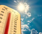 राज्यभर उष्णतेचा कहर; अकोल्यात ४५.६ अंशांची नोंद