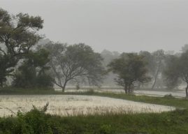 देशभरात पुढील काही दिवस मुसळधार पावसाचा आणि वेगवान वाऱ्यांचा अंदाज