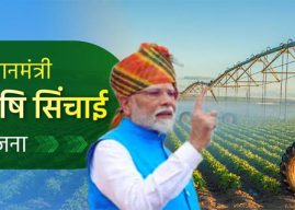 सिंचन क्रांती आणि शाश्वत शेती: ‘पंतप्रधान कृषी सिंचन योजने’चे यशस्वी दशक