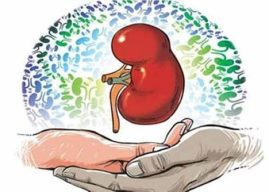 पुणे विभागात अवयवदान चळवळीला वेग; पाच वर्षांत ८९६ रुग्णांना जीवनदान