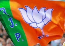 भाजपची नवी राष्ट्रीय कार्यकारिणी; डॉ. भारती पवार यांची उपाध्यक्षपदी
